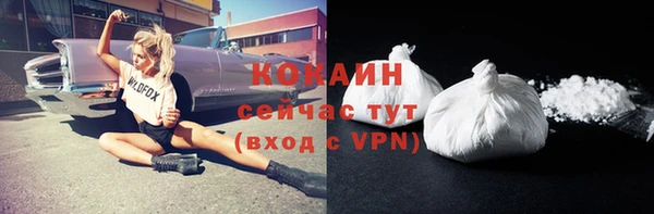 стафф Армянск