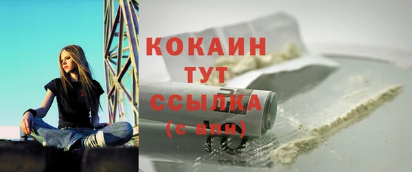 хмурый Арсеньев