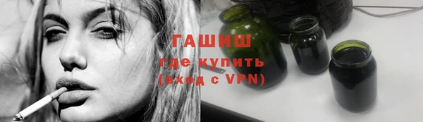хмурый Арсеньев