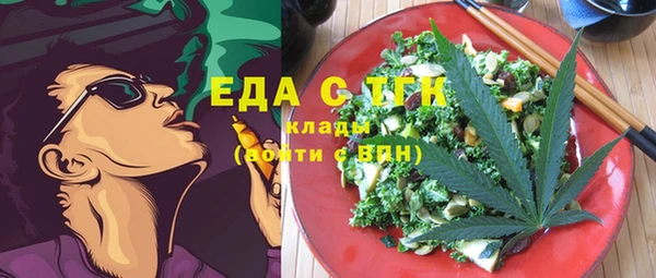 хмурый Арсеньев
