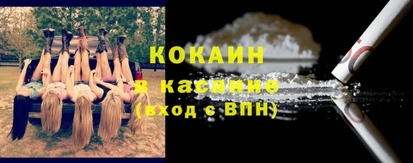 хмурый Арсеньев